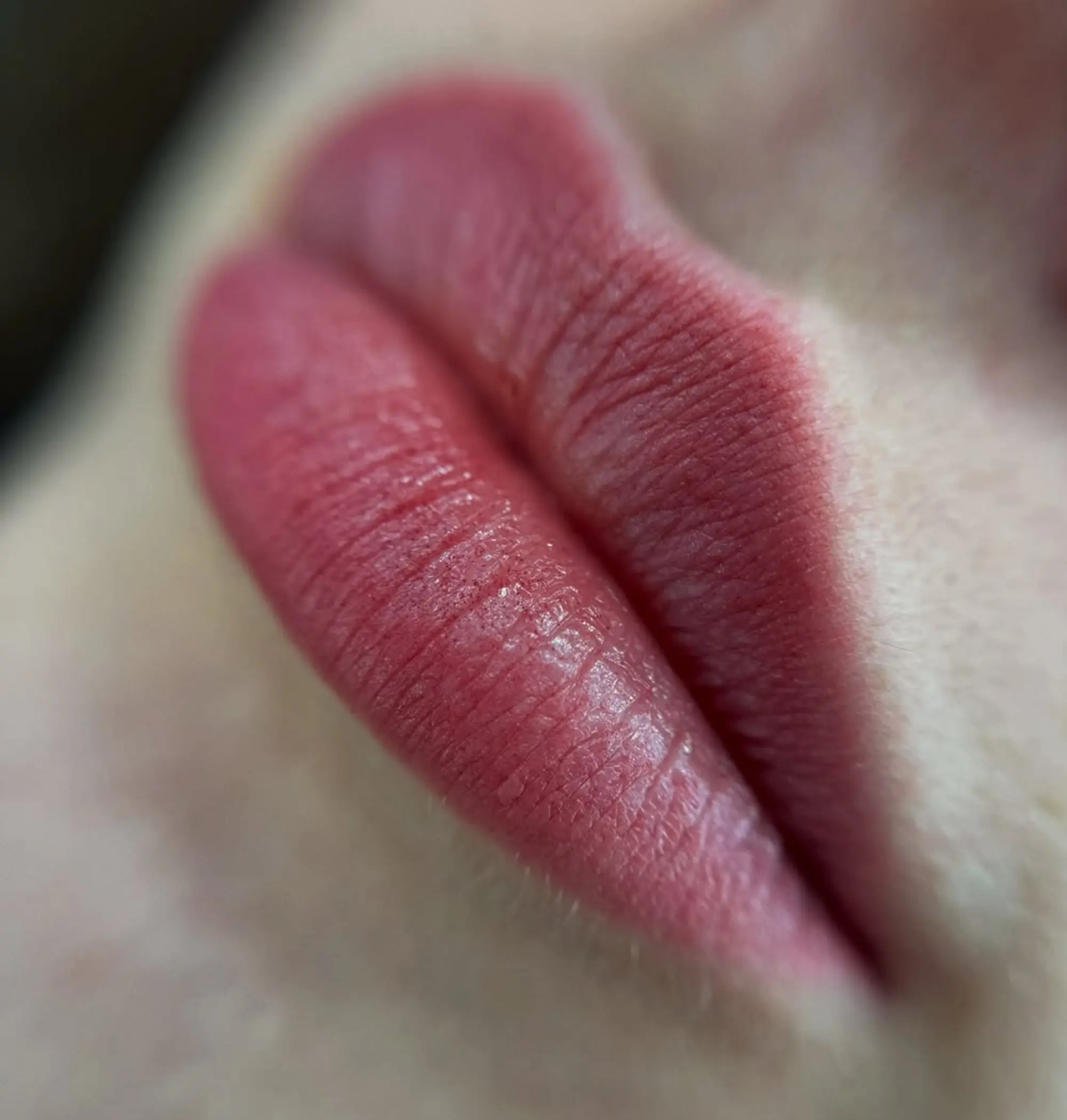 lip blush procedure in progress studio