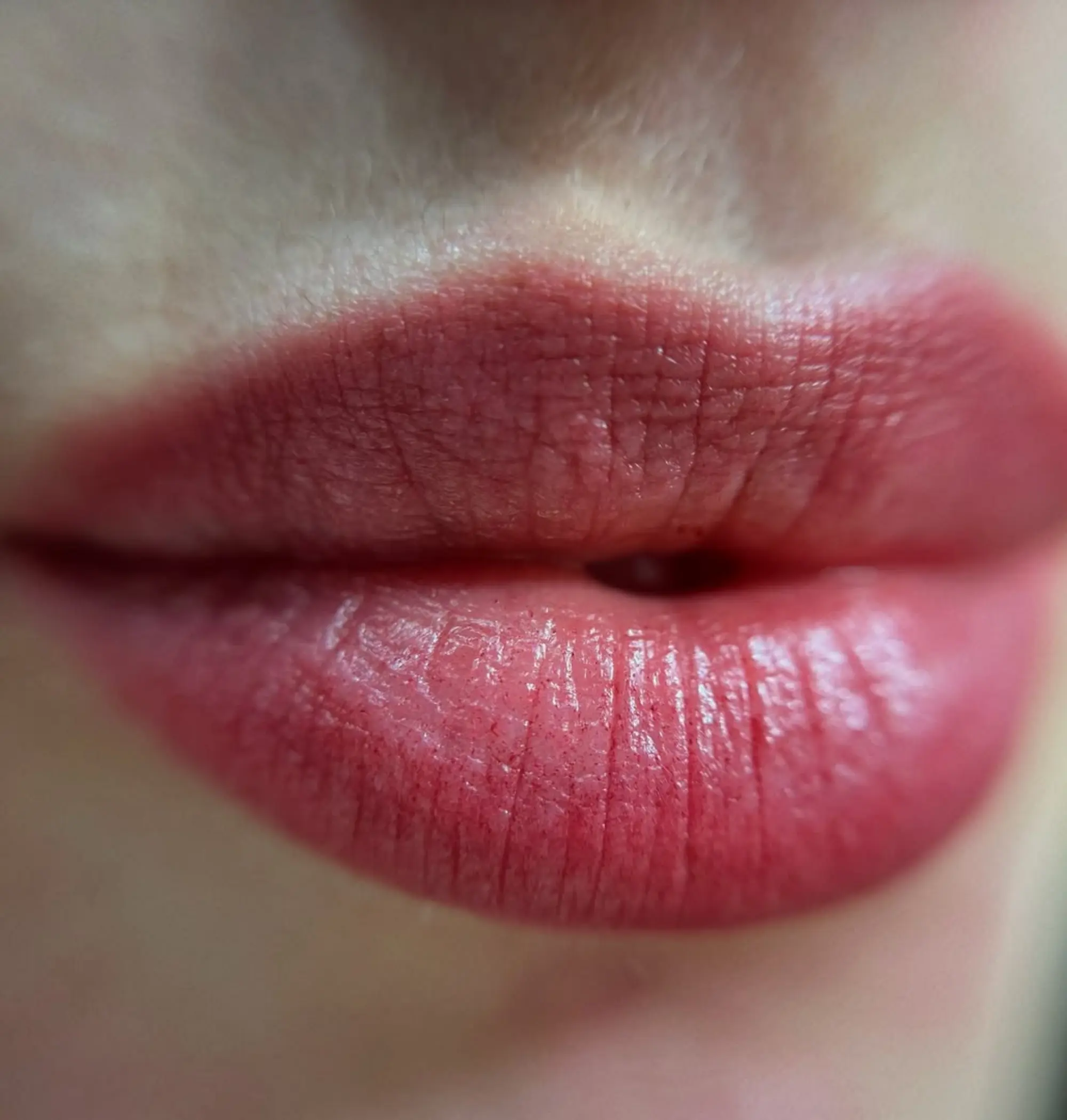 lip pigment pigments palette