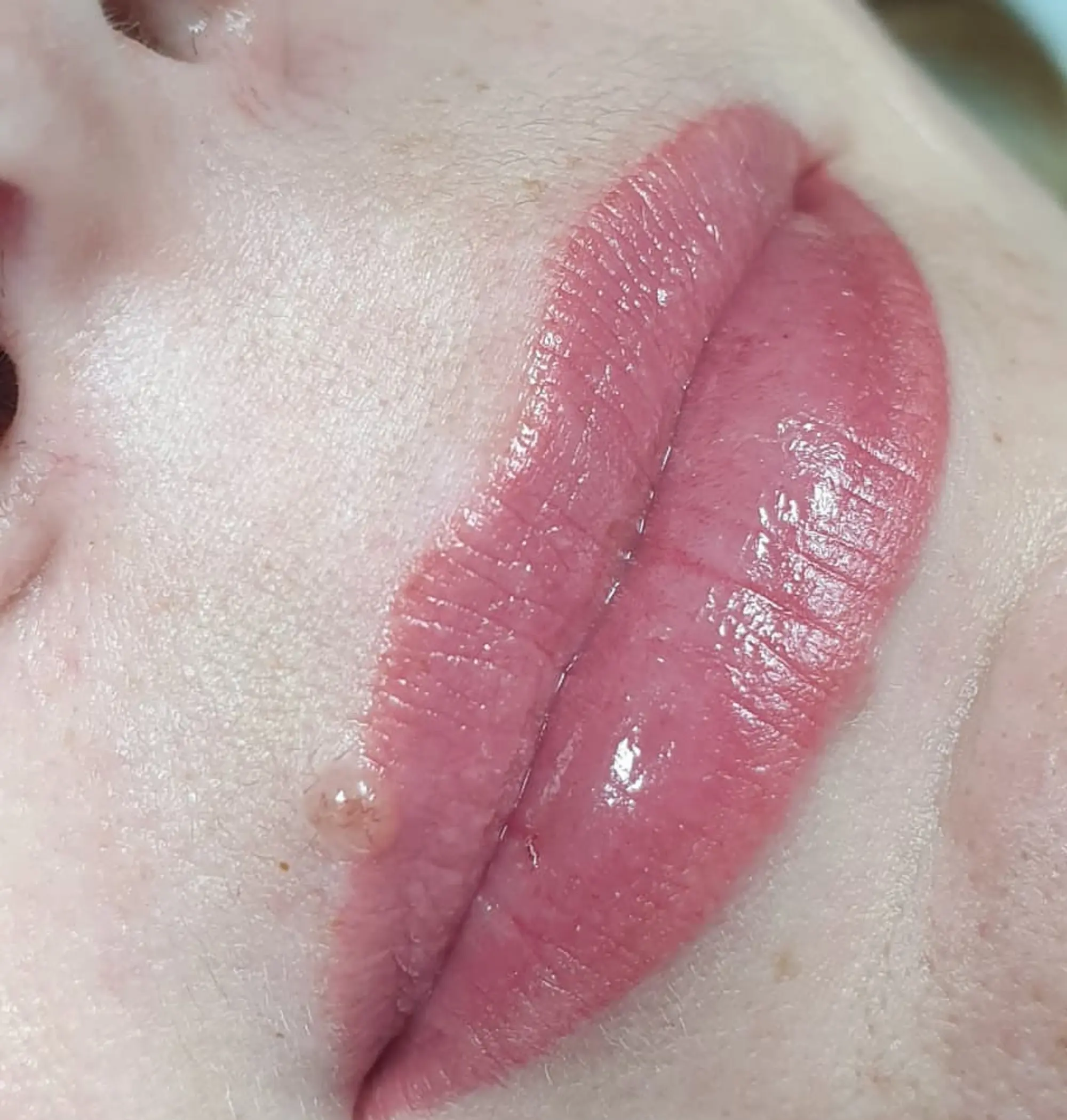 nano brows application process