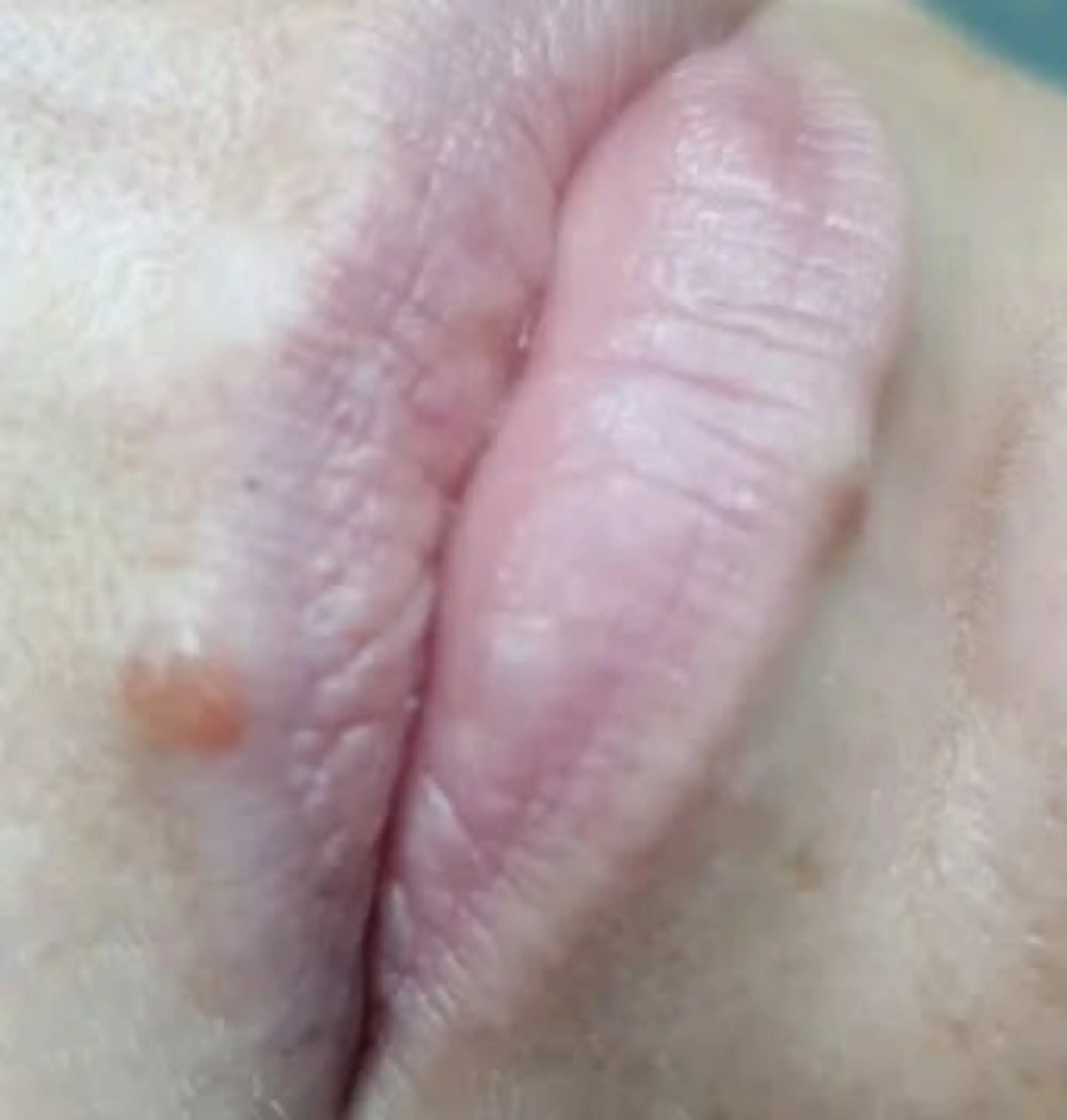 ombre lips pigmentation process